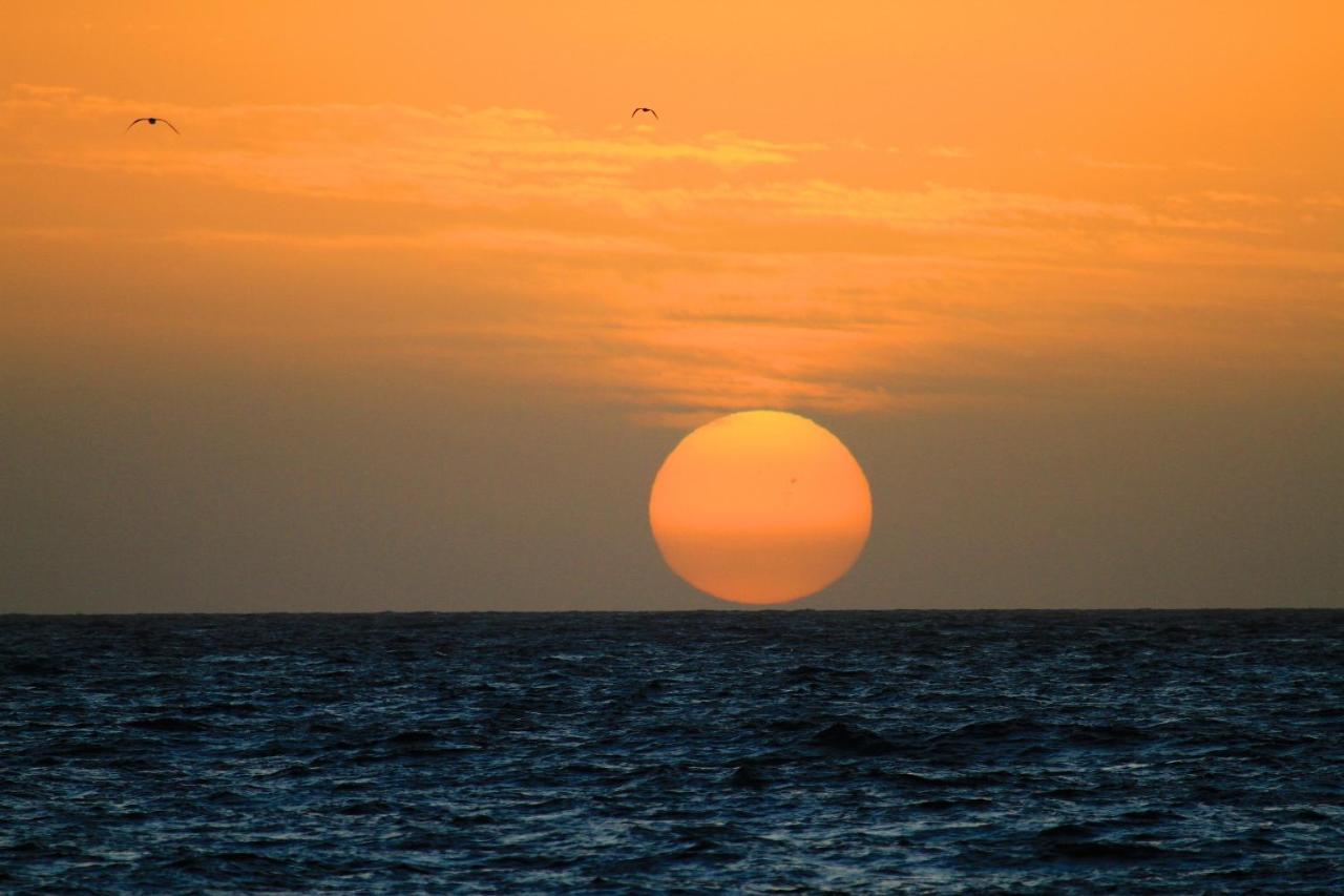 Appartamento Vacacional Puerto Del Carmen Puerto del Carmen  Esterno foto